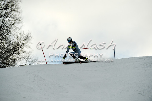 2015 December 18 alpine DSC_0023