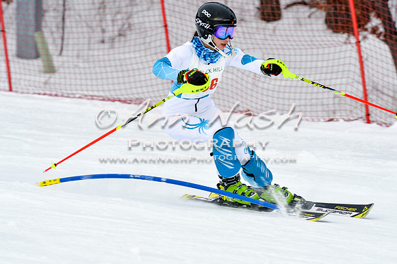 2016 January 22 alpine DSC_1596