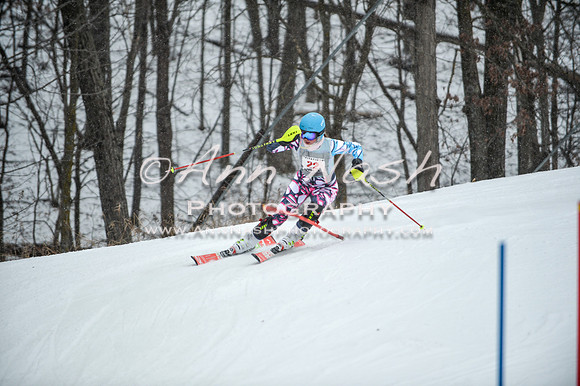 2015 December 18 alpine DSC_9108