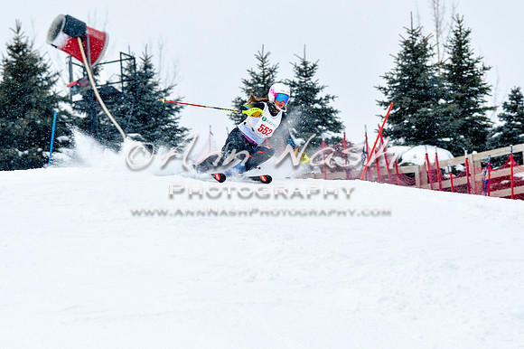 2016 January 22 alpine DSC_0928