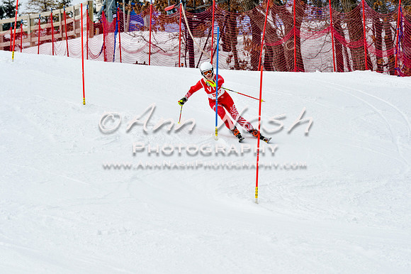 2016 January 22 alpine DSC_1844