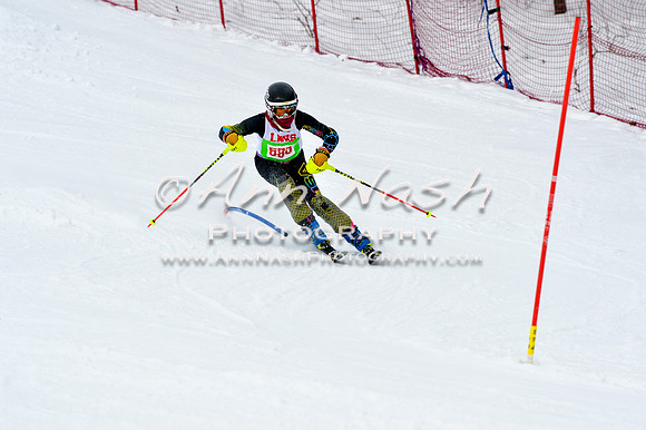 2016 January 22 alpine DSC_1545