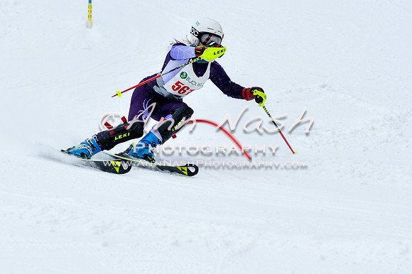 2016 January 22 alpine DSC_0745
