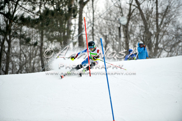 2015 December 18 alpine DSC_9600