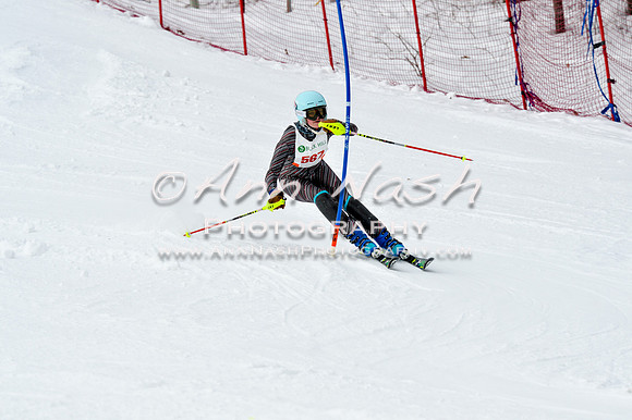 2016 January 22 alpine DSC_1830