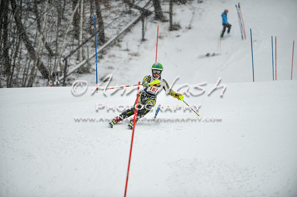 2015 December 18 alpine DSC_9187