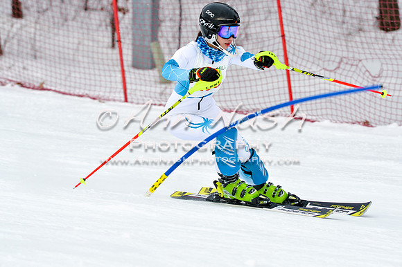 2016 January 22 alpine DSC_1595