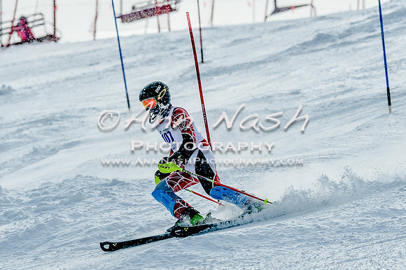 2016 February 14 alpine DSC_7783