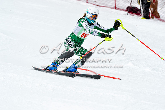 2016 January 22 alpine DSC_1824