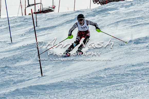 2016 February 14 alpine DSC_7375