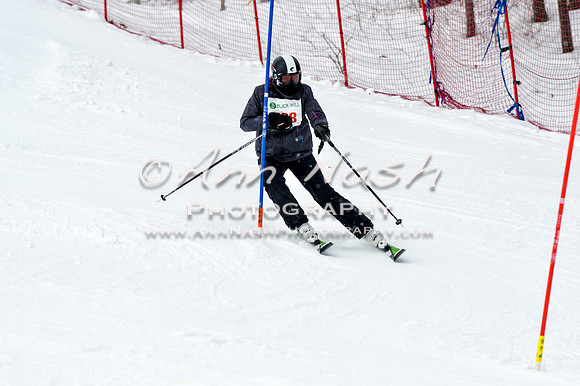 2016 January 22 alpine DSC_1861