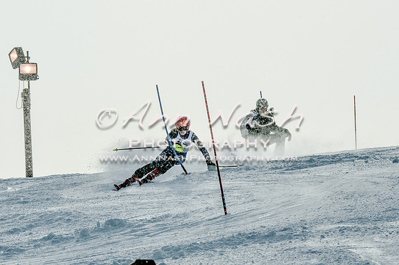 2016 February 14 alpine DSC_7280