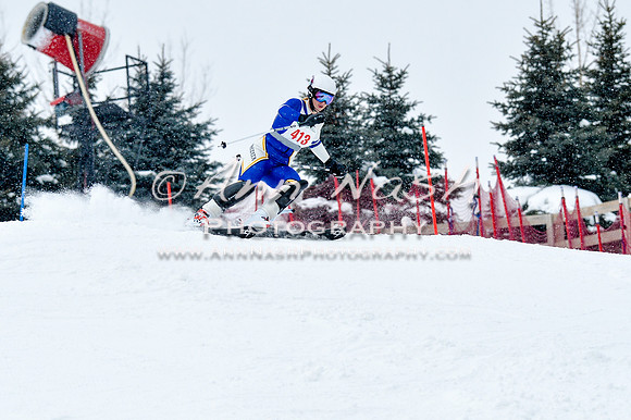 2016 January 22 alpine DSC_0983