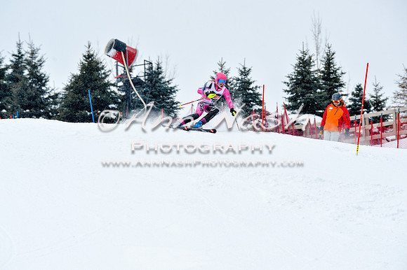 2016 January 22 alpine DSC_0861
