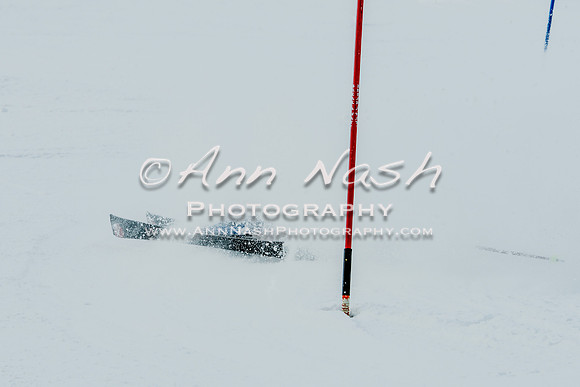 2016 February 14 alpine DSC_7245-2