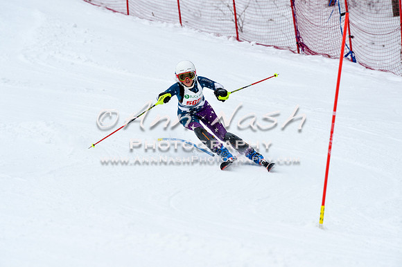 2016 January 22 alpine DSC_0941