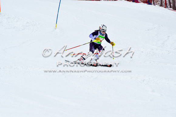2016 January 22 alpine DSC_1056