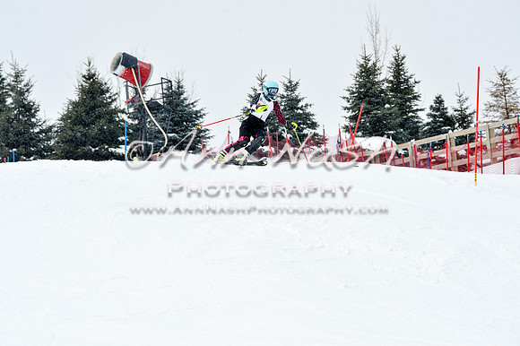 2016 January 22 alpine DSC_1573