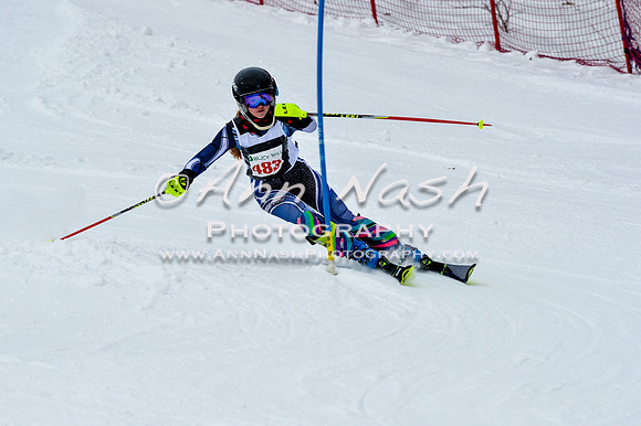 2016 January 22 alpine DSC_1071