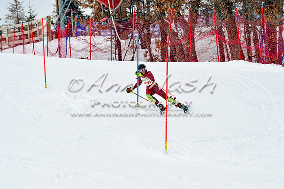 2016 January 22 alpine DSC_1870