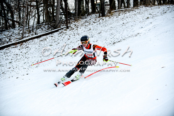 2015 December 18 alpine DSC_9783