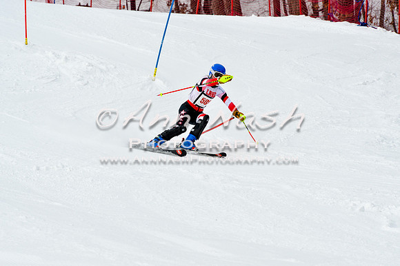 2016 January 22 alpine DSC_1711