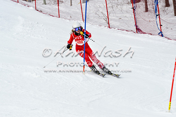 2016 January 22 alpine DSC_1964