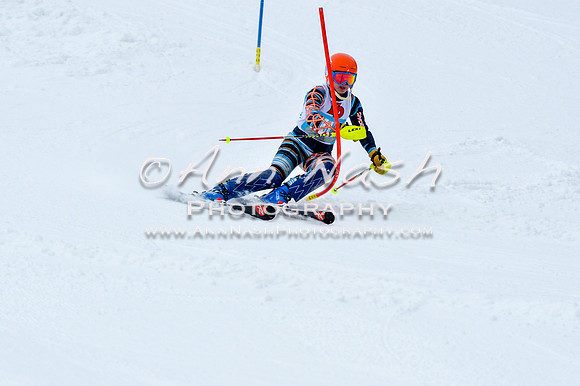 2016 January 22 alpine DSC_0643