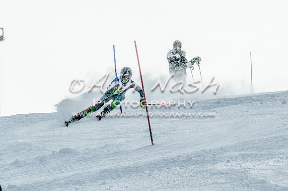 2016 February 14 alpine DSC_7889