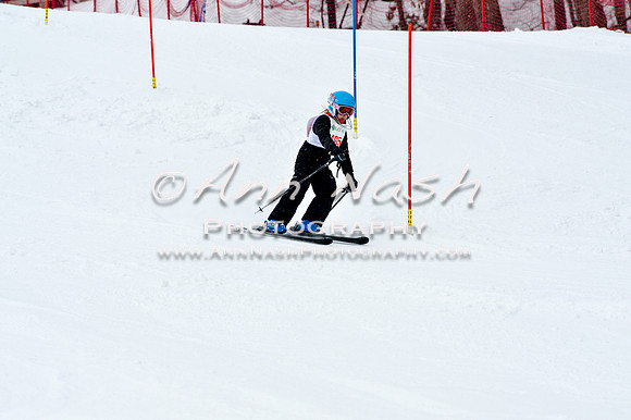 2016 January 22 alpine DSC_1449