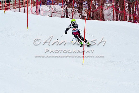 2016 January 22 alpine DSC_1321