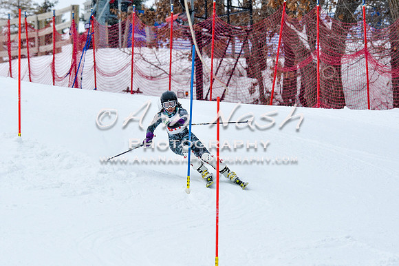 2016 January 22 alpine DSC_0695