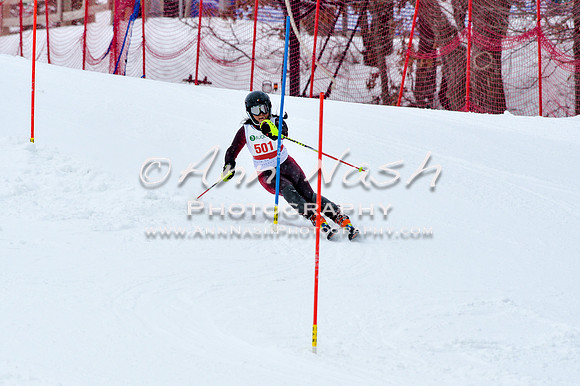 2016 January 22 alpine DSC_0682