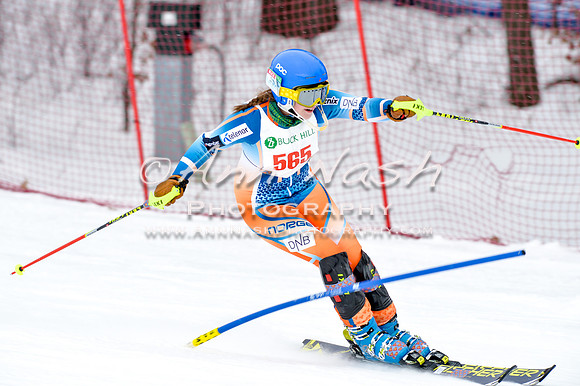 2016 January 22 alpine DSC_1532