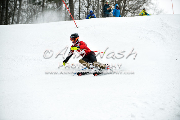 2015 December 18 alpine DSC_9571