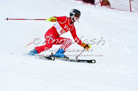 2016 January 22 alpine DSC_0977