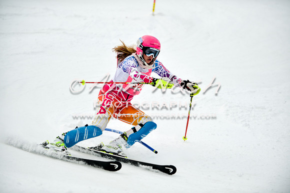 2015 December 18 alpine DSC_0022