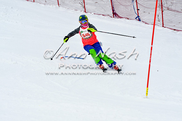 2016 January 22 alpine DSC_1507