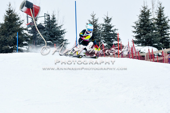 2016 January 22 alpine DSC_0917
