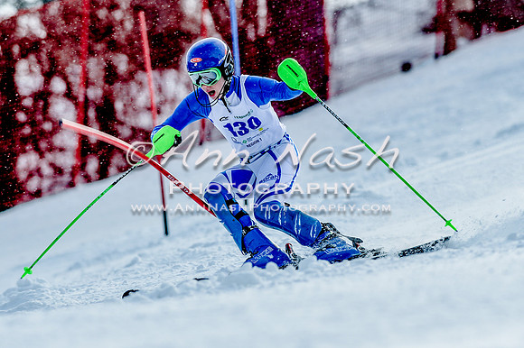 2016 February 14 alpine DSC_7205