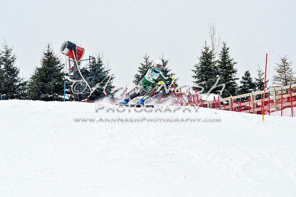 2016 January 22 alpine DSC_1821