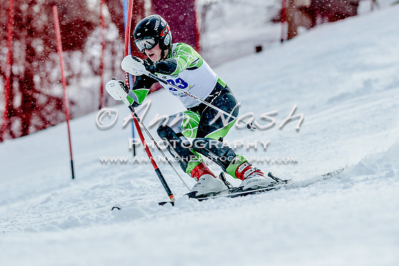 2016 February 14 alpine DSC_6886