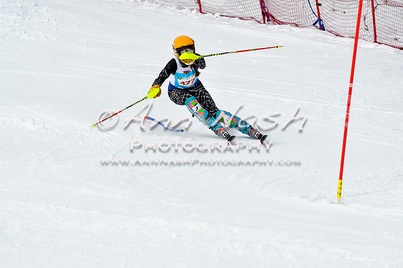2016 January 22 alpine DSC_1766