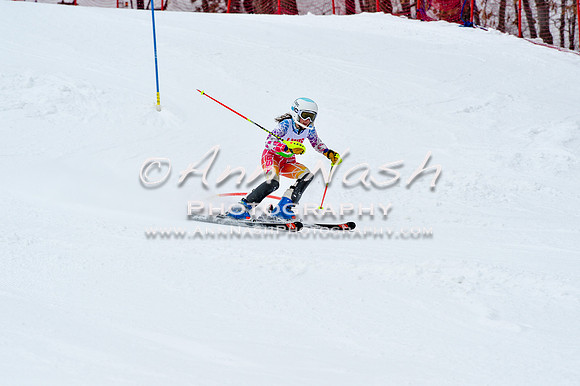 2016 January 22 alpine DSC_1373