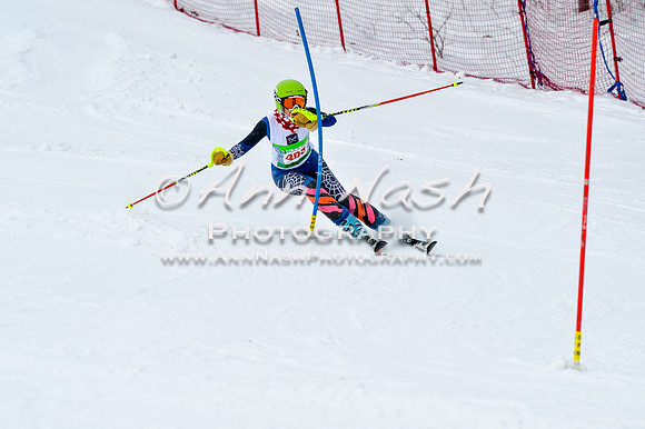 2016 January 22 alpine DSC_1084