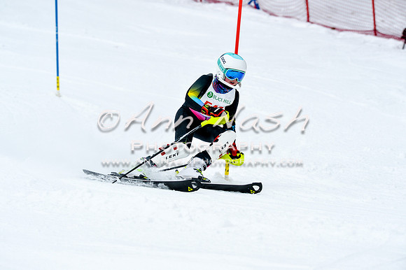 2016 January 22 alpine DSC_0921