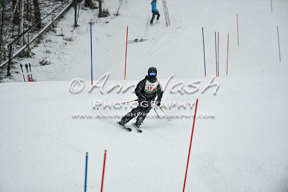 2015 December 18 alpine DSC_9214
