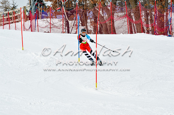 2016 January 22 alpine DSC_1743