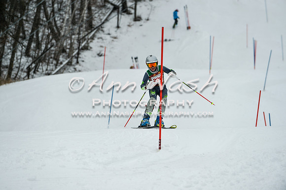 2015 December 18 alpine DSC_9330