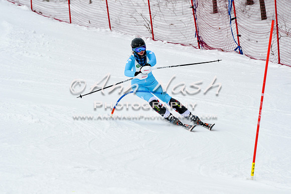 2016 January 22 alpine DSC_1884